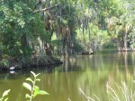 A lake in the City Park in New Orleans.